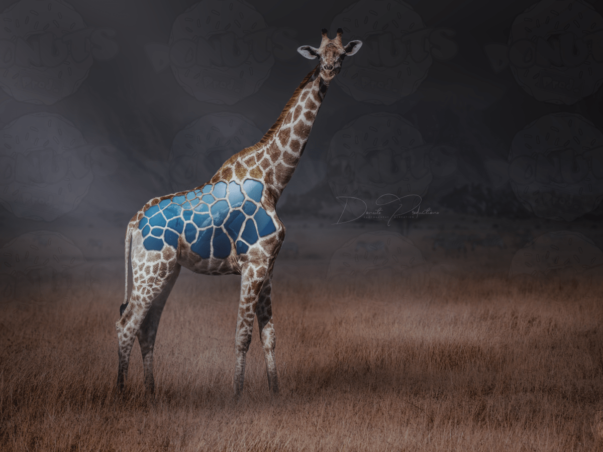 NEW – [Photomanipulation] – Giraffe&nbsp;aquarium