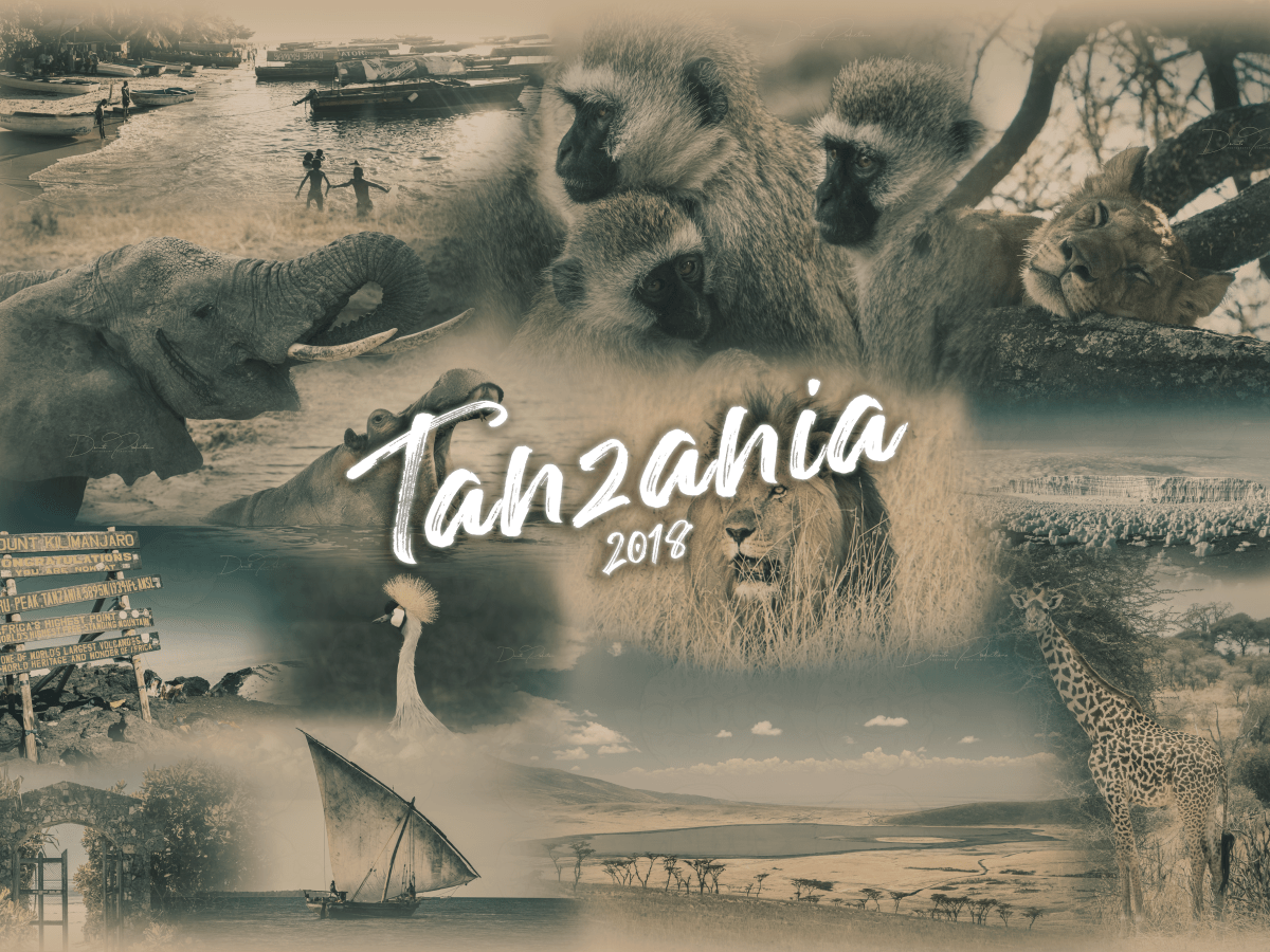 NEW – [Photography] – Travel Tanzania&nbsp;2018