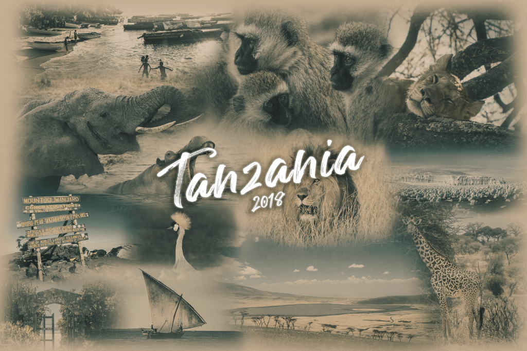 NEW – [Photography] – Travel Tanzania&nbsp;2018