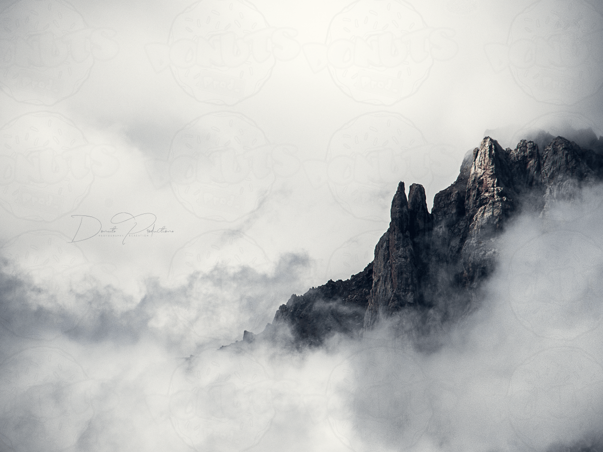 NEW – [Photography] – Homeland&nbsp;landscapes