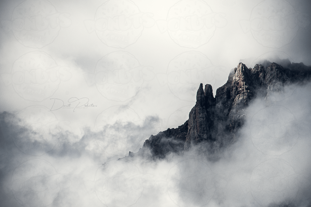 NEW – [Photography] – Homeland&nbsp;landscapes